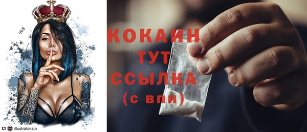 дмт Абаза