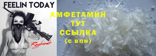 дмт Абаза