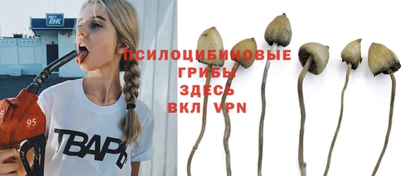 СК Абинск