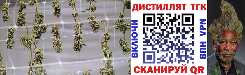 Дистиллят ТГК гашишное масло  Западная Двина 